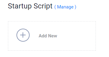 startup script