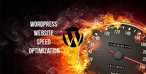 WordPress Speed Optimization